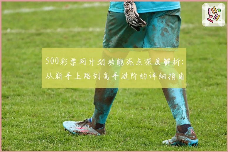 500彩票网计划功能亮点深度解析:从新手上路到高手进阶的详细指南