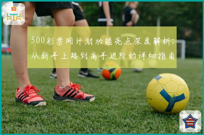 500彩票网计划功能亮点深度解析：从新手上路到高手进阶的详细指南